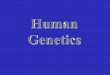 Human Genetics - Henry County Public Schools · Pedigree Analysis is a Key Tool in Human Genetics Analyzing a pedigree is like puzzle-building – you try things (assigning potential