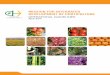 MIDH DEVELOPMENT OF HORTICULTUREEnglish).pdf · 2018-04-25 · 9.3. Small Farmer’s Agri-Business Consortium (SFAC), New Delhi 24 9.4. Directorate of Cashew and Cocoa Development