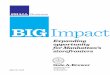 BIGImpact · report to help more small businesses thrive and grow, because small ... jobs added in an economy are added in small businesses, not from growth in already ... Some small