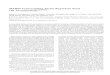 MYB89 Transcription Factor Represses Seed Oil ... · MYB89 Transcription Factor Represses Seed Oil Accumulation1[OPEN] Dong Li2, Changyu Jin2, Shaowei Duan2, Yana Zhu, Shuanghui Qi,
