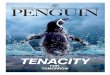 TENACITY - Singapore Exchange...CORPORATE PROFILE CORPORATE STRUCTURE Penguin International Limited is a Singaporean homegrown, publicly listed designer, builder, owner and operator