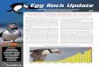 EGG ROCK PUFFINS INCREASE TO 172 PAIRSprojectpuffin.audubon.org/sites/default/files/...Egg Rock Update 2017 3. MAD RIVER DECOYS BY AUDUBON. T. hanks to Jim and Nancy Henry’s generous