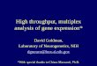 High throughput, multiplex analysis of gene expression* · High throughput, multiplex analysis of gene expression* David Goldman, Laboratory of Neurogenetics, NIH dgneuro@box-d.nih.gov