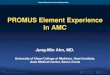 PROMUS Element Experience In AMCsummitmd.com/pdf/pdf/8_Jung-Min Ahn.pdfMyocardial Infarction • Target vessel revascularization Secondary End Point • Cardiac and non-cardiac deaths