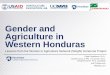 Gender and Agriculture in Western Honduras · Gender and Agriculture in Western Honduras Lessons from the Women in Agriculture Network ... Perspective . Research Objectives ... horticulture