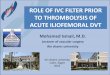 ROLE OF IVC FILTER PRIOR TO THROMBOLYSIS OF ACUTE ... · iliofemoral DVT who received thrombolysis except for those who have high risk factors or previous history of P.E. Acute Upper