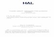 Contrôle optimal: optimisation d’une production céréalière€¦ · HAL Id: tel-00802435  Submitted on 19 Mar 2013 HAL is a multi-disciplinary open access
