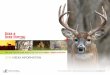 2016 Media inForMation · today, F+w produces three top shows for the whitetail deer hunter. each show can deliver your message with animation and sound. Deer + Deer Hunting tV on