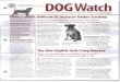Vol. 18. No.8 August ZOt4 Difficult 61 Diseases Under Scrutinytheanimalhospitable.com/storage/app/media/Dog-catwatch/DogWatc… · Expert information on mediane, behavior and health