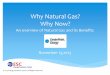 Why Natural Gas? Why Now? - CenterPoint Energy · Why the decline in electric grid Reliability? An aged electric transmission and distribution system cannot handle today’s demand