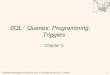 SQL: Queries, Programming, Triggers SQL: Queries, Programming, Triggers Chapter 5. Database Management