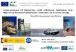 Interactions of fisheries with offshore habitats: the ... · Equinoderms 55 Crustaceans 209 Molluscs 215 Esponges 83 Ascidians 67 Condrichthyans 31 Osteichthyes 207 Total 1146 . Workshop
