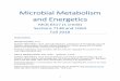 Microbial Metabolism and Energetics · 2018-09-18 · 1 Microbial Metabolism and Energetics MCB 6417 (1 credit) Sections 7138 and 1G63 Fall 2018 Instructors Claudio Gonzalez, Ph.D