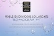 MOBILE SENSORY ROOMS & CALMING KITS BEST PRACTICES … · 2018-11-02 · mobile sensory rooms & calming kits best practices for tr/rt dr. lynn anderson, ctrs, cprp and geoff peppel,