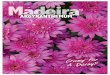 A3 Customer Posters · 2016-11-14 · Madeira ™ ARGYRANTHEMUM or A Daisy? Title: A3 Customer Posters.indd Created Date: 11/7/2016 10:56:08 AM