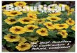 A3 Customers Posters · 2018-10-26 · BeautiCal ® PETCHOA The Best Qualities Of Calibrachoa & Petunia Combined! Title: A3 Customers Posters.indd Created Date: 10/10/2018 7:00:32