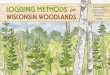Logging Methods for Wisconsin Woodlandsclean-water.uwex.edu/pubs/pdf/LoggingWis.pdf · | 6 | | 7 | Cut-to-length logging is the most technologically advanced timber harvesting system