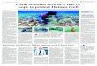 CHINA DAILY Coral scientist sees new tide of hope to ... · 10/3/2017  · CHINA DAILY Tuesday, October 3, 2017 People|HOLIDAY5 By MA ZHIPING in Sanya, Hainan mazhiping@chinadaily.com.cn