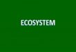 Ecosystem - easybiologyscience.files.wordpress.com · • Productivity is the rate of biomass production. • Productivity is 2expressed in 1terms of gm–2 yr –1 or (kcal m–)