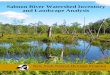 Salmon River Watershed Inventory and Assessment · New York Natural Heritage Program A Partnership between The Nature Conservancy and the NYS Department of Environmental Conservation