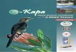 Introducing e-Kapa 1resource.capetown.gov.za/documentcentre/Documents... · A teacher’s guide to active learning in Cape Town schools. The original guide introduced teachers to