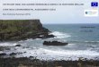 OFFSHORE WIND AND MARINE RENEWABLE ENERGY IN …€¦ · OFFSHORE WIND AND MARINE RENEWABLE ENERGY IN NORTHERN IRELAND STRATEGIC ENVIRONMENTAL ASSESSMENT (SEA) AECOM and Metoc . CONTENTS