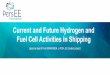 Current and Future Hydrogen and Fuel Cell Activities …...A mobile hydrogen storage container, refillable in any 350 bar hydrogen refueling station will be developed in this project