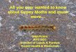 All you ever wanted to know about Gypsy Moths and much more… · All you ever wanted to know about Gypsy Moths and much more… Naja Kraus NYS DEC Division of Lands & Forests Forest