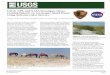 USGS, NPS, and NASAInvestigate Horse- Grazing …Grazing Impacts onAssateague Island Dunes UsingAirborne Lidar Surveys Georgia H. De Stoppelaire, John Brock, Chris Lea, Mark Duffy,