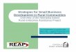 Strategies for Small Business Development in Rural Communities · Background of REAP z Business development strategy designed to help small businesses in rural communities. z Full