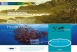 Pacific - ec.europa.eu · The European BEST Initiative aims to strengthen biodiversity conservation and climate change adaptation in the 7 European Overseas regions by raising awareness,