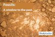 Fossils- A Window To The Past - Studyladder · Fossils give us a snapshot of the past so we can see what life was like millions of years ago. Fossils help us learn about ancient species