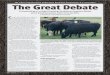 The Great Debate - Angus Journal Great Debate 08_13.pdf · The Great Debate Crossbreeding vs. straight-breeding: Symposium speakers debate which breeding system offers more benefits