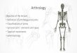 Arthrology - Началоanatomy.plcnet.org/.../2019/ARTHROLOGY-JOINTS.pdf · Definition •Arthrology is the science concerned with the study of anatomy, function, dysfunction and