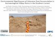 Environmental Significance of Holocene Dust …...Loess in the Negev has been proposed to result from quartz abrasion in Negev-Sinai sand dunes – and Ergs in general as 'desert loess
