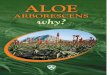 13 Aloe Arborescens Why Final Version 20 02 2014better known Aloe Vera. This is primarily due to its slower growth and development, and the smaller quantity of gel in its leaves. Hence