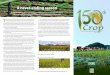 A never-ending season - International Rice Research Institutebooks.irri.org/LTCCE_online.pdf · • The productivity of irrigated rice ecosystems can be sustained with intensification
