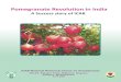 Pomegranate Revolution in Indianrcpomegranate.icar.gov.in/files/Publication/44.pdf · 2018-06-06 · Pomegranate Revolution in India A success story of ICAR Pomegranate attracted