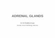 ADRENAL GLANDS - WordPress.com · 2015-03-20 · adrenal fails to resume function (compare TSH in treated thyrotoxicosis) • In pituitary hypofunction or post corticosteroid states,