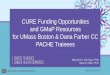 CURE Funding Opportunities and GMaP Resources for UMass ......Graduate Students Postdoctoral Fellows Three-year research experience awards Two-year research experience awards Supports