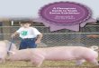 A Champions Guide to Youth Swine Exhibition · just as you are responsible for keeping your show pig(s) healthy, you share the responsibility of keeping all of the pigs in the United