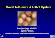 Novel Influenza A H1N1 Update - Public Intelligenceinfo.publicintelligence.net/Addendum H.pdf · of Swine Flu Increasing numbers of swine influenza cases being detected over past