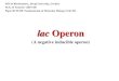 lac Operon -  آ  lac Operon (A negative inducible operon) SOS in Biochemistry, Jiwaji University,