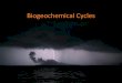 Biogeochemical Cycles - Weebly · 2019-08-07 · Phosphorous Cycle Most biogeochemical cycle reservoirs are mineral in nature. Phosphate exists in the soil only in small amounts