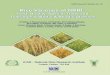 Rice Varieties of NRRI · 2020-06-06 · Rice varieties are bred for higher yield and imparting other unique traits for tolerance/resistance to biotic and abiotic stresses and superior