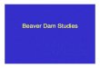 Beaver Dam Studies - University of Wisconsin–Madison Resources...from the Beaver Dam Eye Study? • More than 80% of persons over 75 years of age have cataracts • Women are more