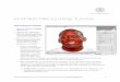 Advanced Digital Photography Portraits Retouching Tutorial retouching... · 2014-01-21 · Advanced Digital Photography Next, select the Patch Tool and patch the area. Using Quickmask