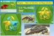 Chapter 2: Natural Selection and Reproduction Lesson PDF/Natural... · 2.3.4: HOMEWORK You have learned a lot about natural selection. To learn more about other scientists who have