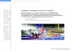 Safety Components on Guard - Industrial …...Safety Components on Guard: White Paper, pg. 4 WHITE PAPER The machinery safety standards help define the reliability, redundancy and