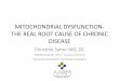 MITOCHONDRIAL DYSFUNCTION-THE REAL ROOT CAUSE OF …restorativemedicine.org/wp-content/uploads/2017/09/Salter_Mitocho… · 1. Establish that mitochondrial dysfunction is the common